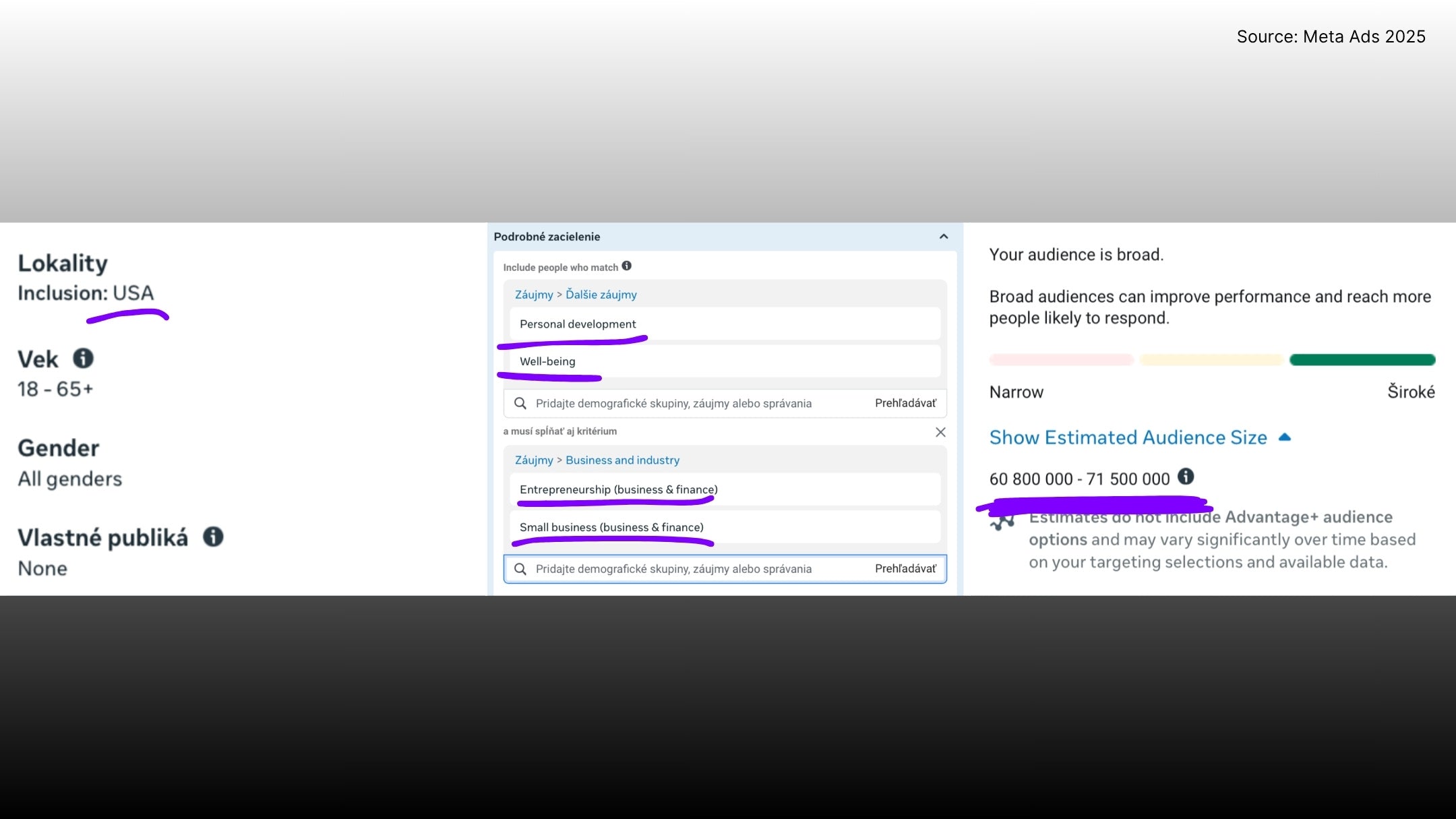 screenshot from Meta Ads audience insights showing data confirming around 55 million people in the United States interested in topics of harmony, used as proof for the RevoL message